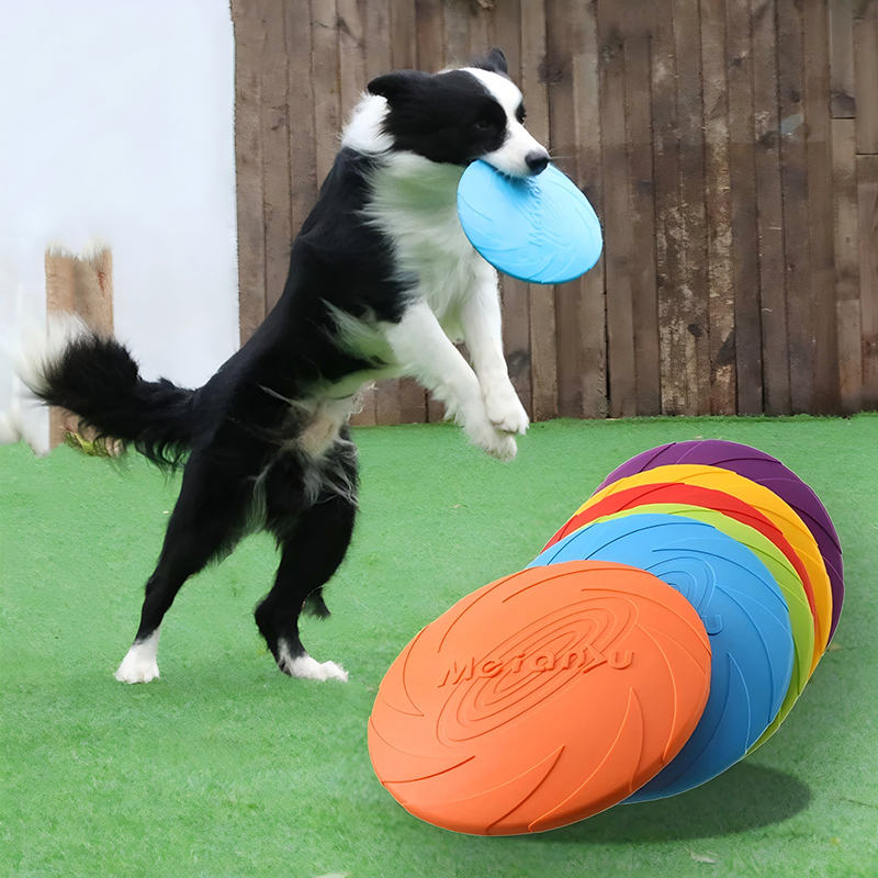 Silicone Flying Disc Toys Mult - Flying Disc Dog Training Toy ulasan dan harga