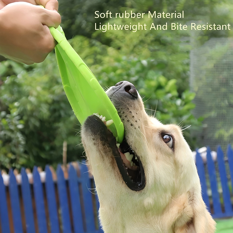 Silicone Flying Disc Toys Mult - Flying Disc Dog Training Toy ulasan dan harga