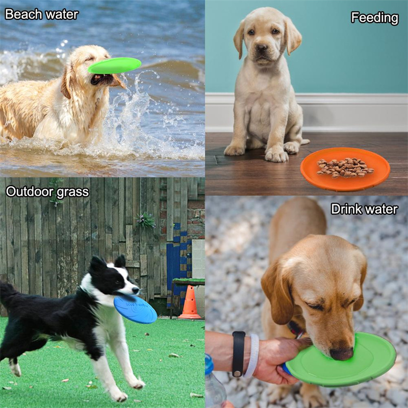 Silicone Flying Disc Toys Mult - Flying Disc Dog Training Toy ulasan dan harga