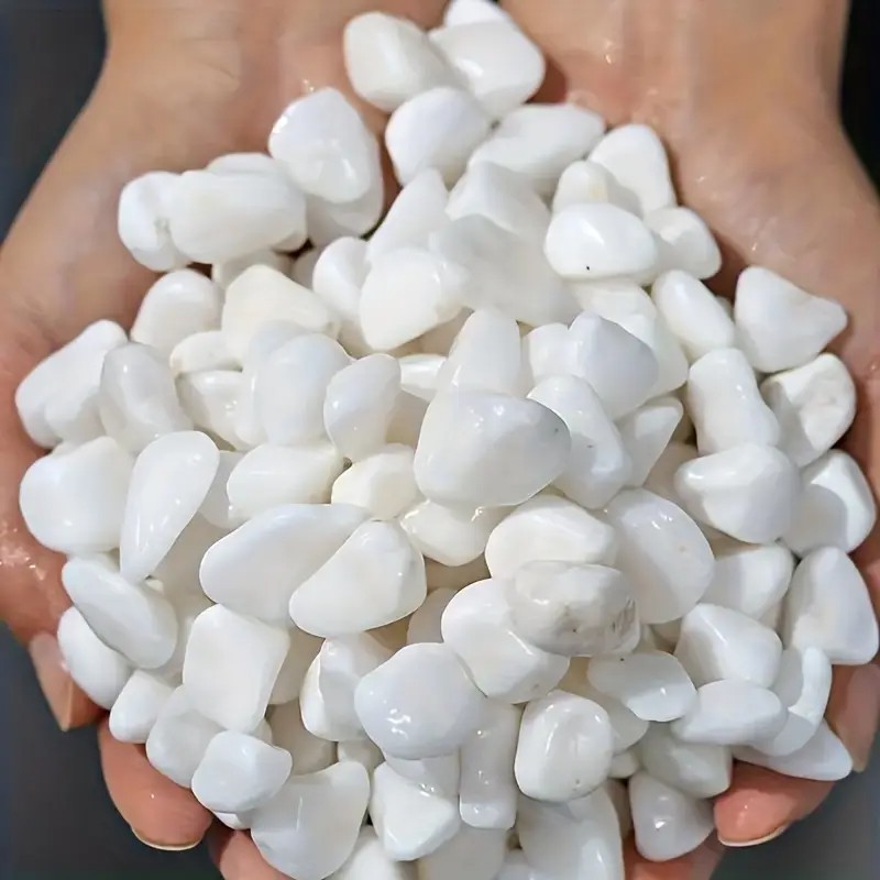1L High-Quality Perlite Succul - Pet Beds ulasan dan harga